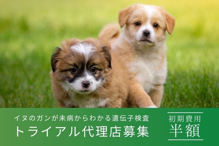 「犬専用遺伝子検査」トライアル代理店募集イメージ